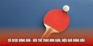 Cá Cược Bóng bàn - Kèo Thể Thao Đơn Giản, Hiệu Quả Hàng Đầu